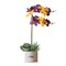 LSU Orchid Plant, LSU Faux Orchid Plant, LSU Gifts for Men, LSU Gifts for Women, LSU Gifts, Louisiana University Decorations, Office Accessories for Men, Desk Sets and Accessories for Women